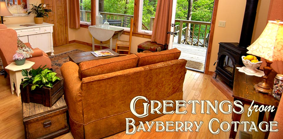 greetings-bayberry